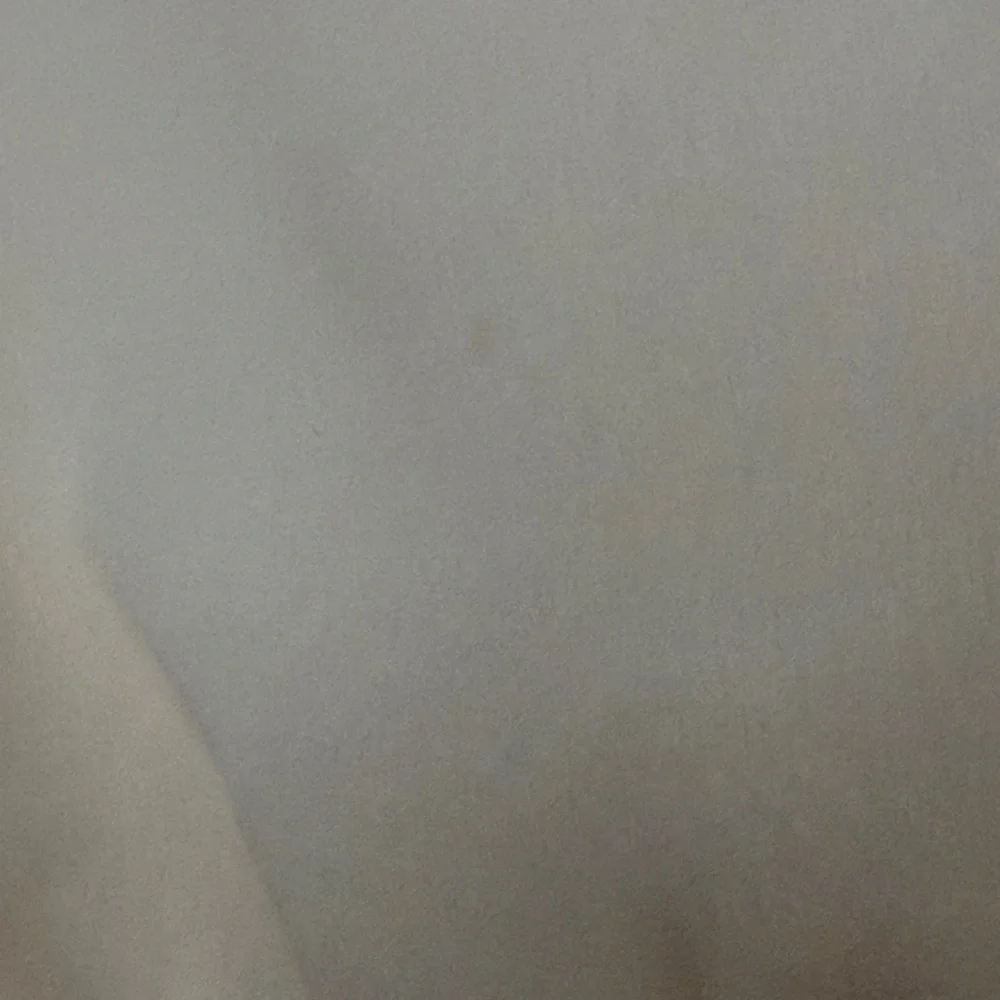 Wilfred Cream Floral V-Neck Button Crop Top - Sz. Small (minor marks see pics) - Picture 4 of 6